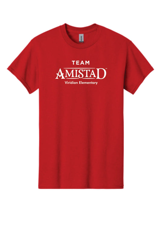 Adult Team Amistad - DFW Impression