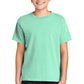 COMFORT COLORS ® Youth Ring Spun Tee. 9018 - DFW Impression