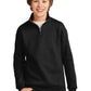 JERZEES® Youth NuBlend® 1/4-Zip Cadet Collar Sweatshirt. 995Y - DFW Impression