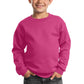Port & Company® - Youth Core Fleece Crewneck Sweatshirt. PC90Y - DFW Impression